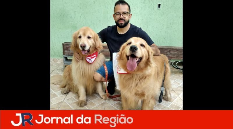 animais doadores de sangue