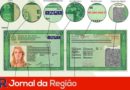 novo rg