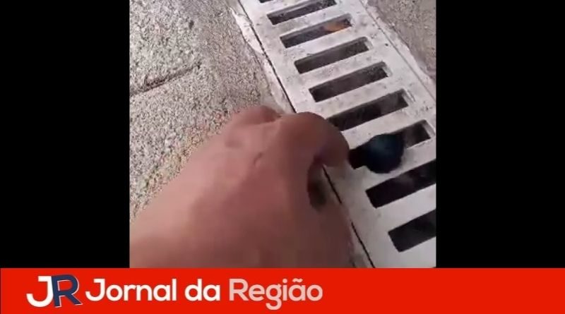 passarinho preso