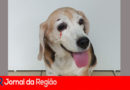 WhatsApp Image 2022 08 09 at 15.50.35 copiar