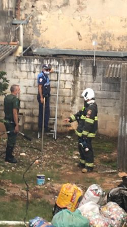 bombeiro beco fino