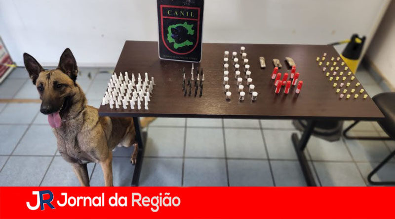 canil guarda drogas vista alegre copiar