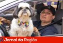 TEM pet drive