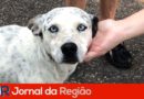 EE9A7151 6385 4E74 A5BF 993570EBCD02