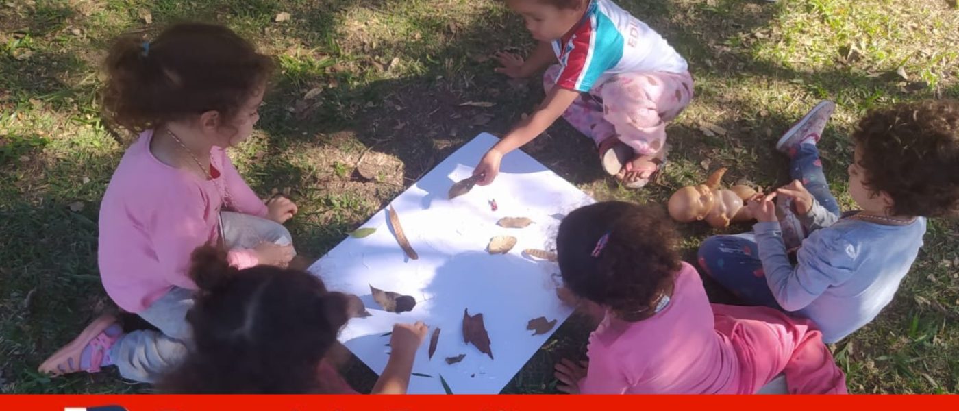 creche campo limpo