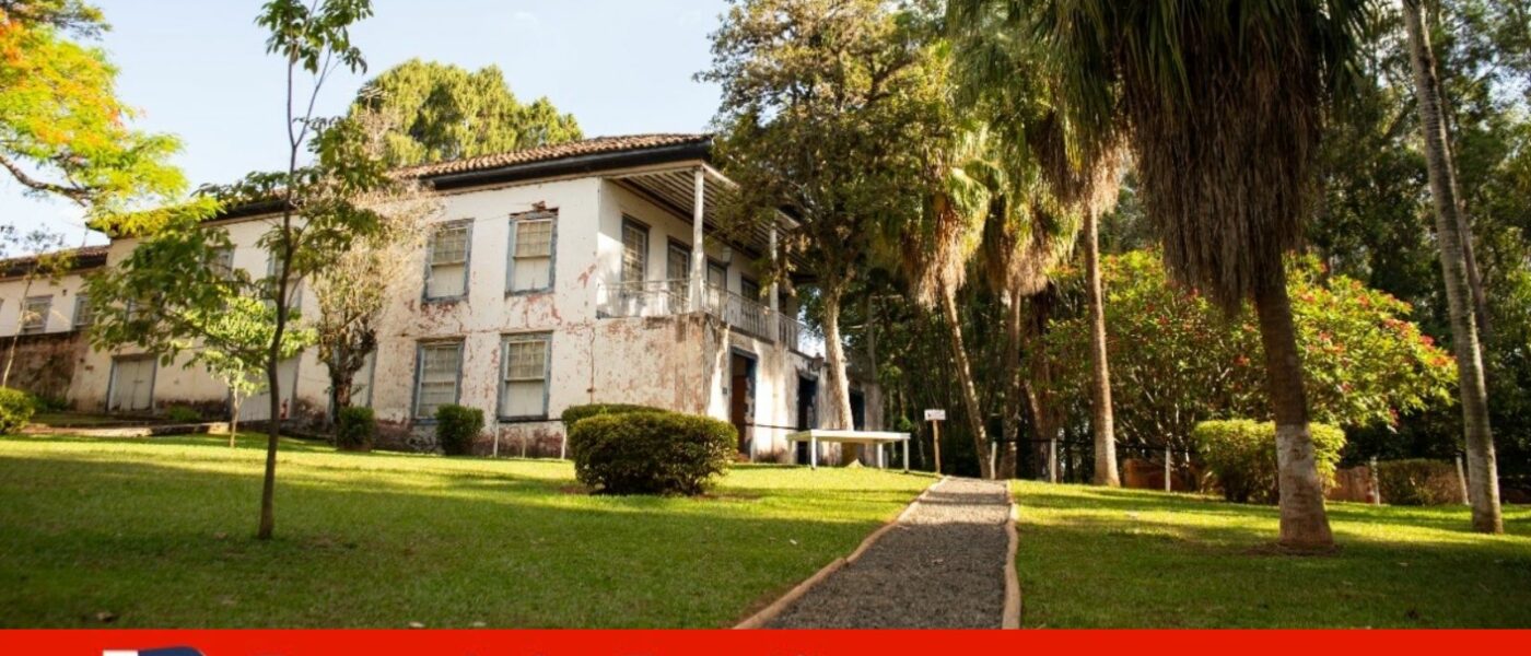 fazenda santo antonio louveira