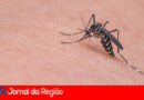 Estado confirma quinta morte por febre amarela no ano