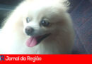 WhatsApp Image 2023 02 11 at 08.35.49 copiar