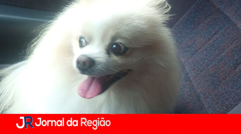 WhatsApp Image 2023 02 11 at 08.35.49 copiar