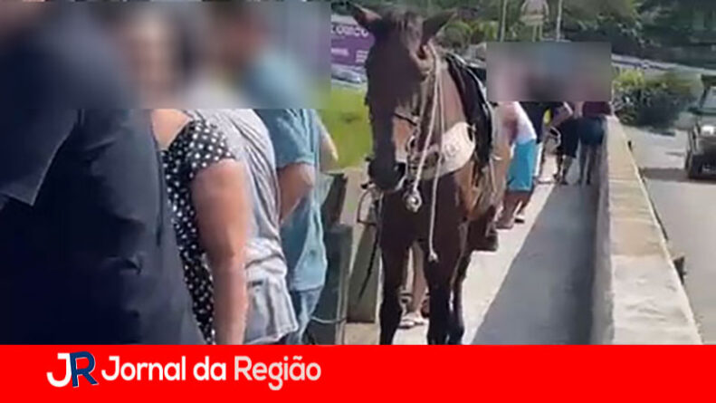 QUEDA DE CAVALO JUNDIAI copiar