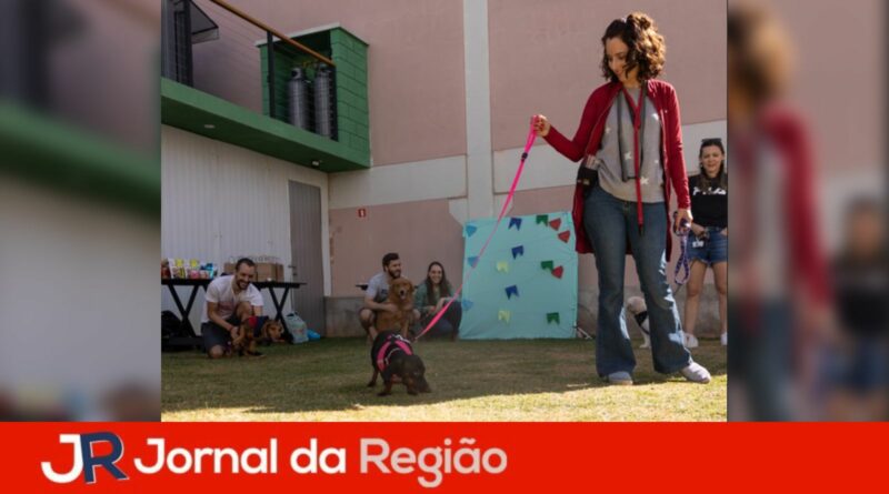 adestramento