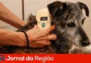 47C1F9B4 3D07 4816 AFE6 3D7483B0FC69