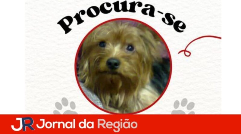FF95ECB9 E94D 4E2F AD65 BA901C98EC68