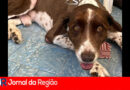 WhatsApp Image 2023 04 04 at 09.44.21 copiar