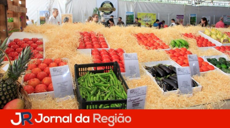 festa do caqui itatiba