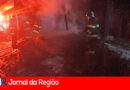fogo madeireira copiar