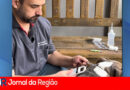 fabiano brunello copiar