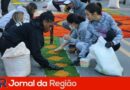 corpus christi eloy chaves1