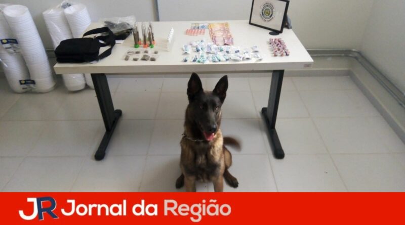 droga louveira