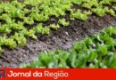JR Novo 22