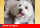 WhatsApp Image 2023 07 28 at 18.33.14 copiar