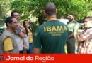 ibama eua mata ciliar