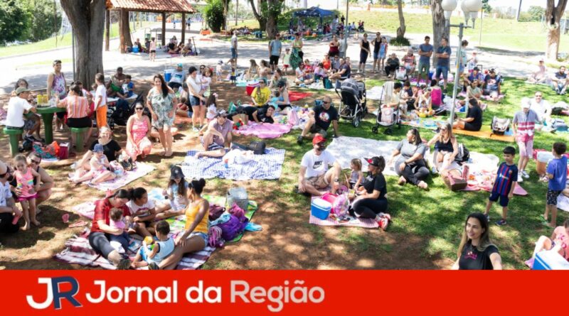PIC NIC MAES DE JUNDIAI