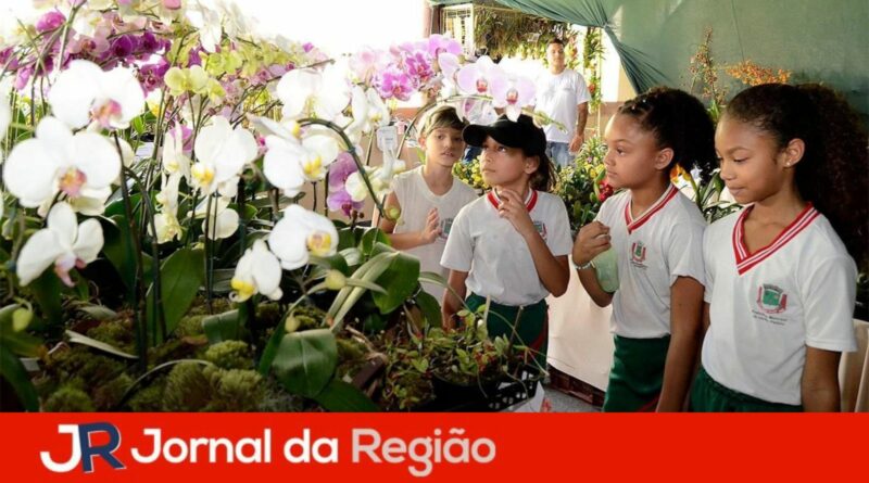 festa das orquideas 2023 1
