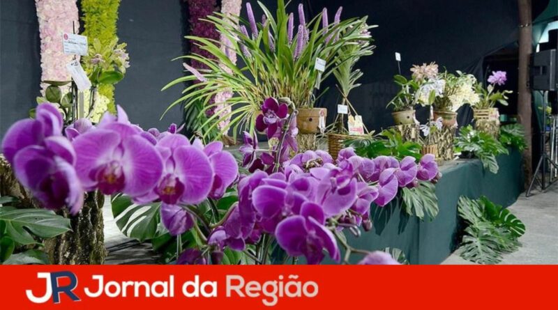 festa das orquideas 2023 12
