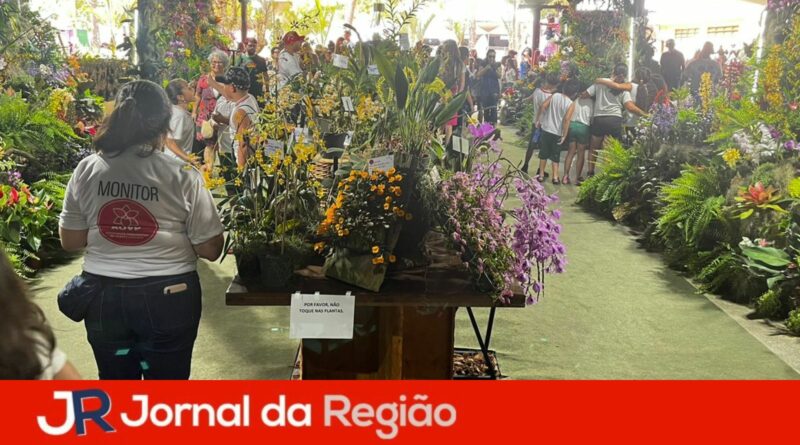 festa das orquideas 2023 13