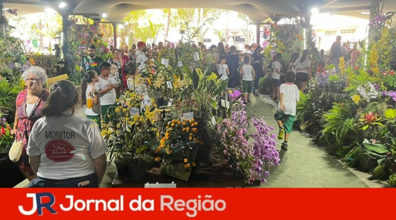 festa das orquideas 2023 14