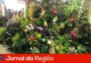 festa das orquideas 2023 5