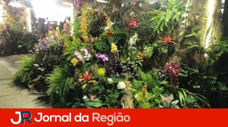 Várzea abre inscrições para escolha da Corte da Festa das Orquídeas 2026 1 festa das orquideas 2023 5