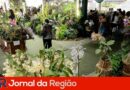 festa das orquideas 2023 7