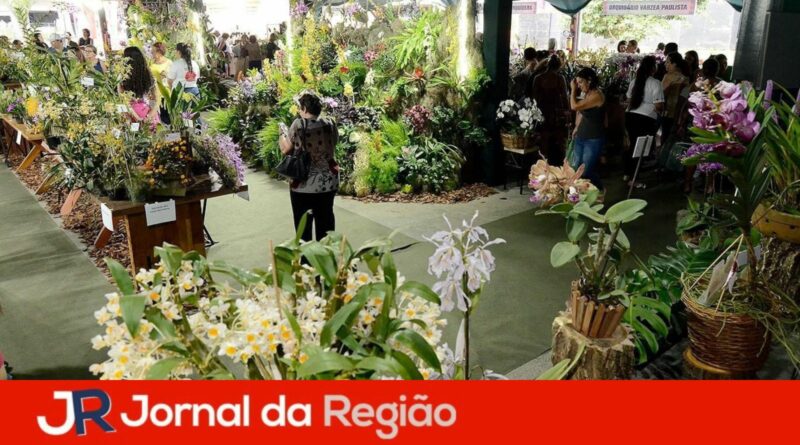 festa das orquideas 2023 7