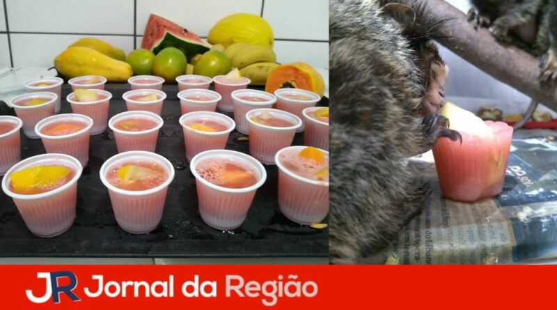 sorvete mata ciliar