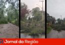 JR Novo 3