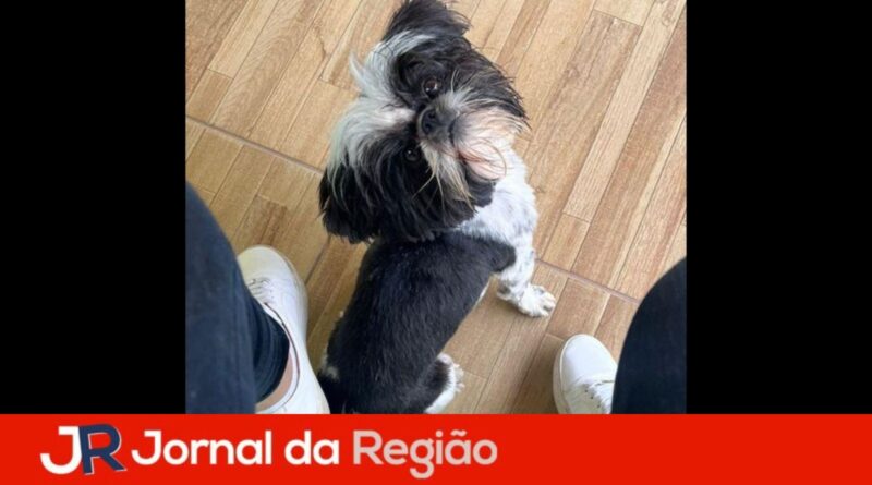 apolo