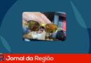 oculos leitor