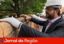 retirada muro