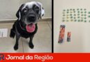 JR Novo 4
