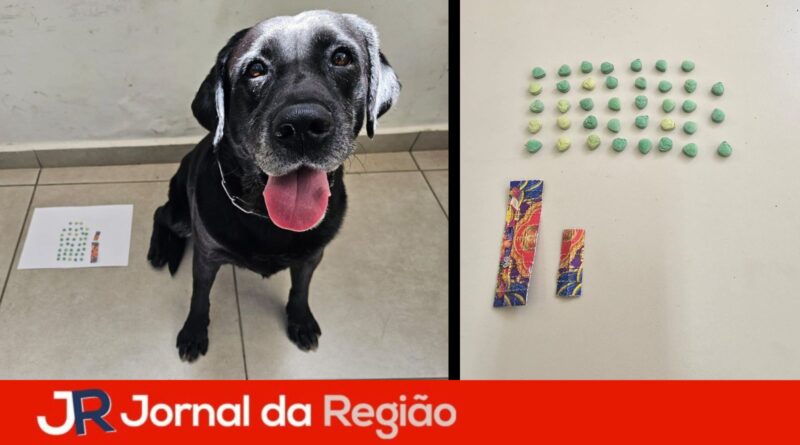 JR Novo 4
