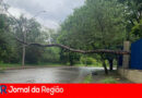 WhatsApp Image 2024 01 27 at 17.30.32 copiar