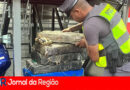 drogas bagagem copiar