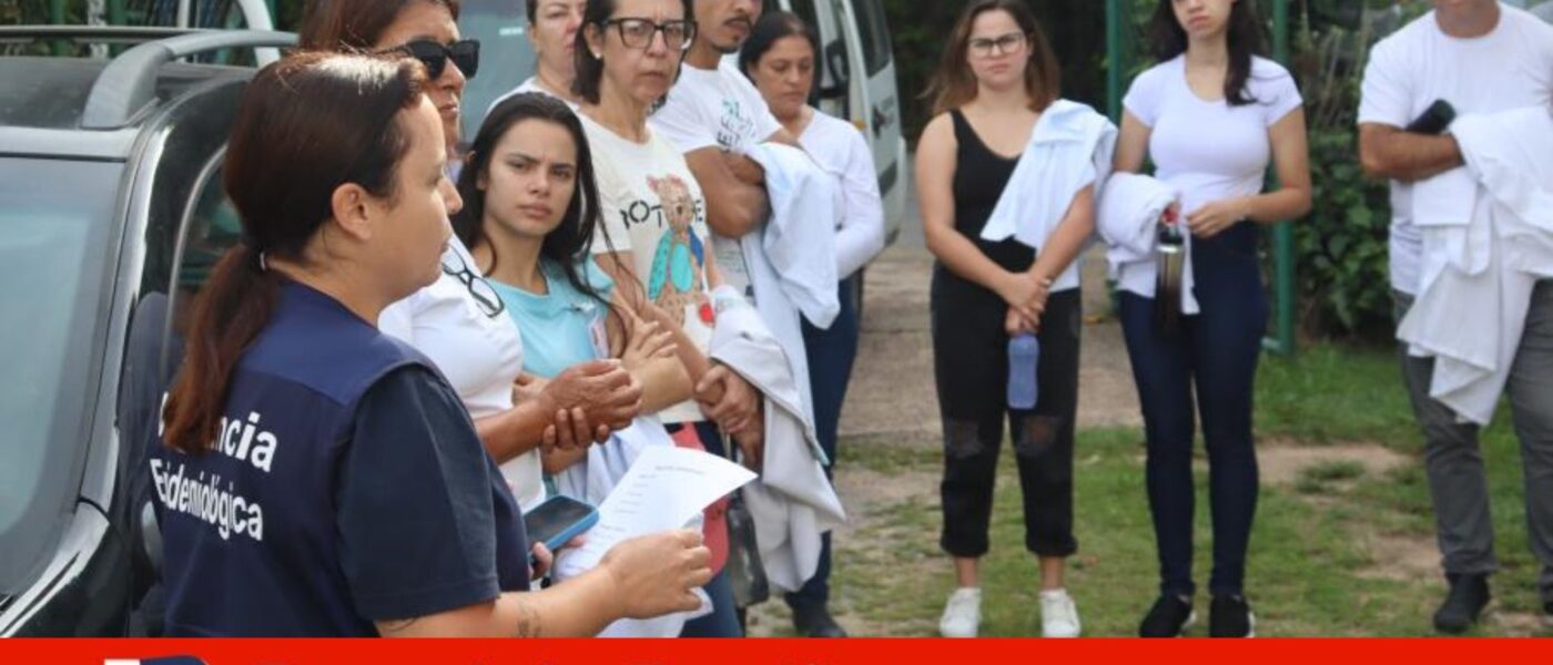 campo limpo dengue