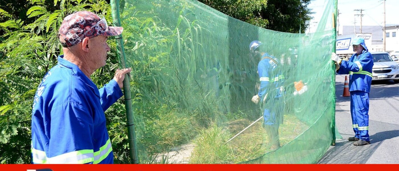 poda mato marginal jundiai varzea