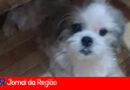 MAYLA copiar 1