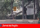 WhatsApp Image 2024 03 04 at 15.12.09 copiar