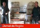 aves trafico animais cajamar
