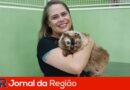 debea adocao pet